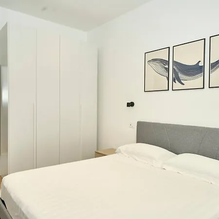 Allegra Elegance Homes Nettuno